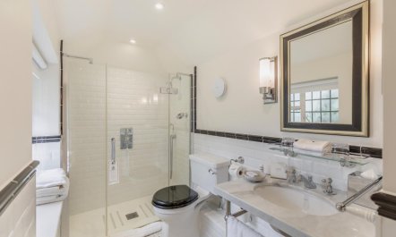 3 Bed in Bray 9