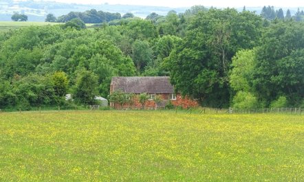 5 Bed in Clows Top