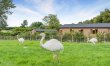 3 Bed in Lloc 3