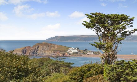 2 Bed in Thurlestone 5