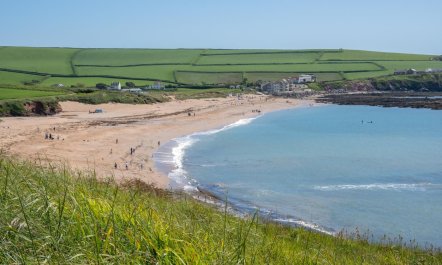 2 Bed in Thurlestone 4