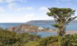 2 Bed in Thurlestone 5