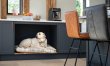 4 Bed in Offton 9
