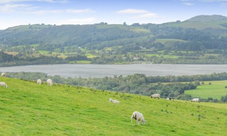 1 Bed in Keswick 3