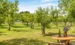 1 Bed in Bramfield 7