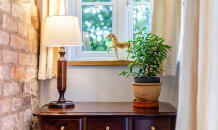 2 Bed in Carreghofa 6