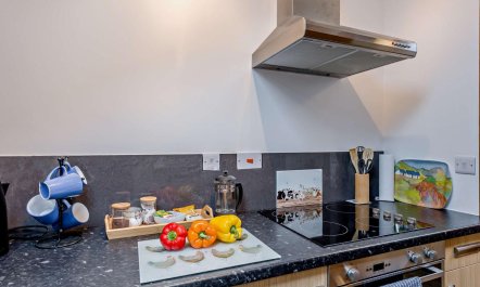 1 Bed in Cilmeri