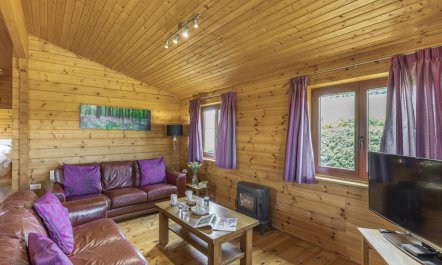 2 Bed in Llandinam