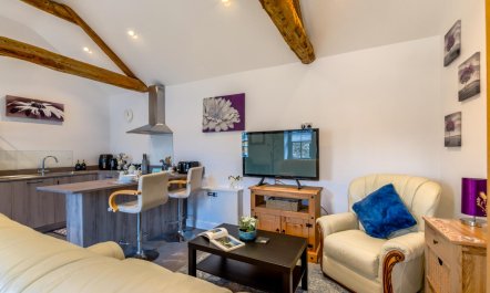 1 Bed in Gilsland 4