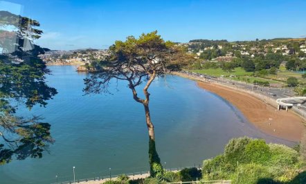 1 Bed in Torquay 8