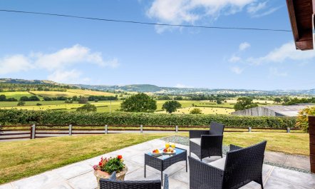 1 Bed in Llandinam