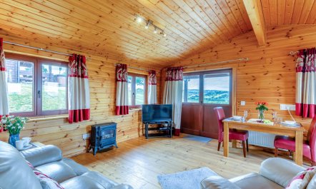 1 Bed in Llandinam 5