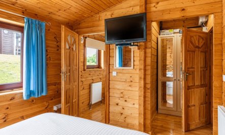 1 Bed in Llandinam 4