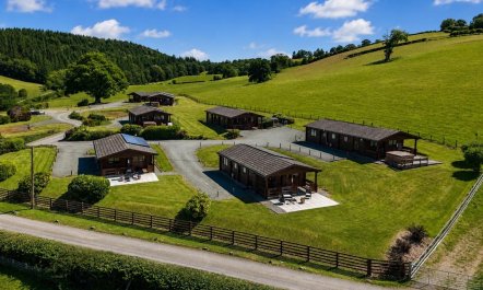 1 Bed in Llandinam 2