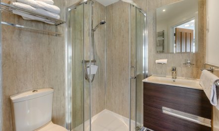3 Bed in Newlyn 8