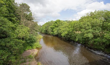1 Bed in Longframlington 8