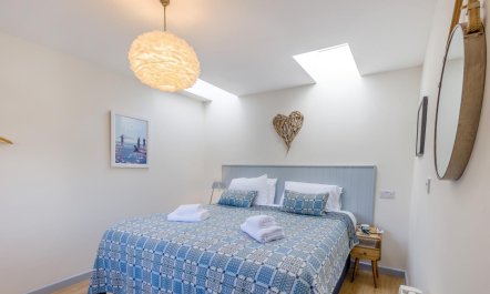 1 Bed in Moylegrove 4