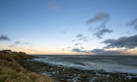 3 Bed in Craster 4