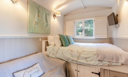 1 Bed in Thetford 5