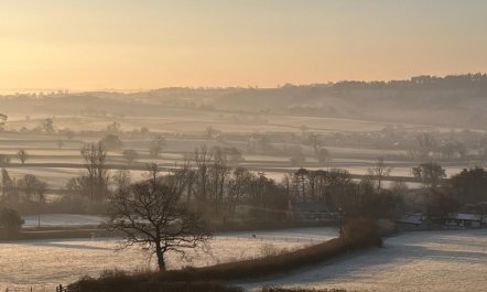 1 Bed in Beaminster 6