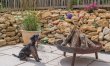 1 Bed in Beaminster 5