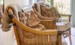 2 Bed in The Hendre 4