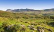 2 Bed in Islawrdref 5