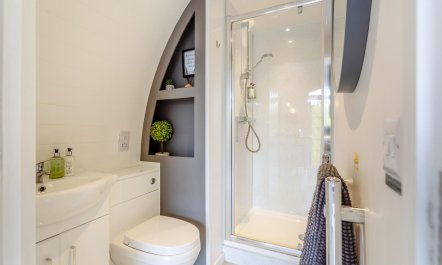 1 Bed in Newmore 5