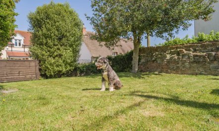 2 Bed in Middlezoy 3
