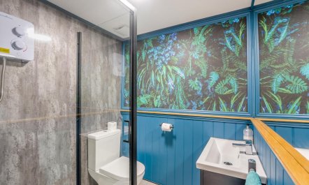 2 Bed in Peasmarsh 5