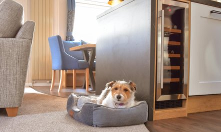 3 Bed in Wells-next-the-Sea 7
