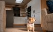 3 Bed in Wells-next-the-Sea 6