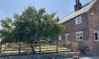 3 Bed in Cundall 0