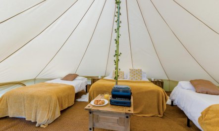 1 Bed in St. Florence 6