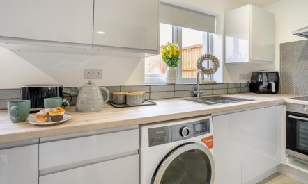 3 Bed in Newport 4