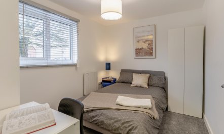 3 Bed in Newport 2