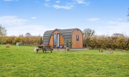 1 Bed in Laneast