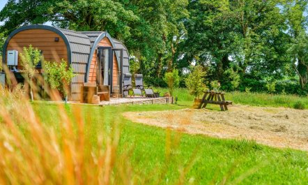 1 Bed in Laneast