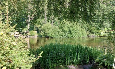 2 Bed in Pooley Bridge 7