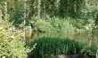 2 Bed in Pooley Bridge 7