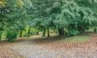 2 Bed in Buxton 2