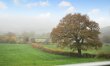 2 Bed in Ashover 6