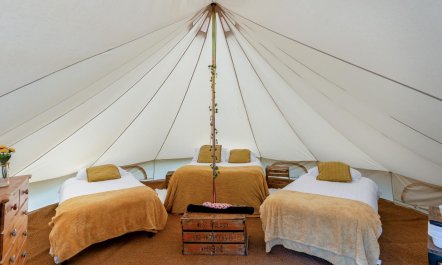 1 Bed in St. Florence 2