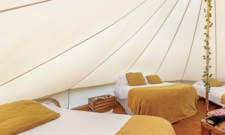 1 Bed in St. Florence 7