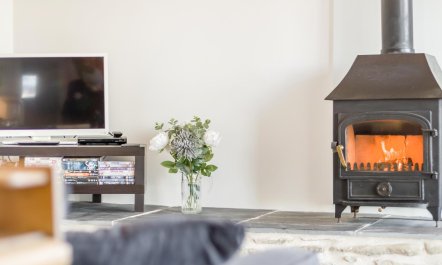 1 Bed in Llangower 1