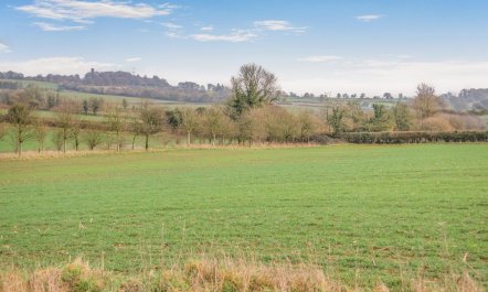 4 Bed in Tansey 4
