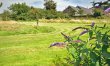 2 Bed in Bratton Fleming 2