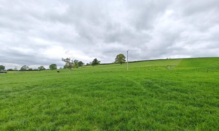 1 Bed in Wyke Champflower 1