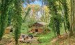 3 Bed in Thetford 3