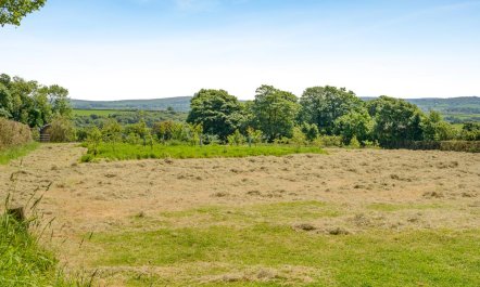 1 Bed in Laneast 5